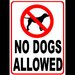 No Dogs Allowed Sign